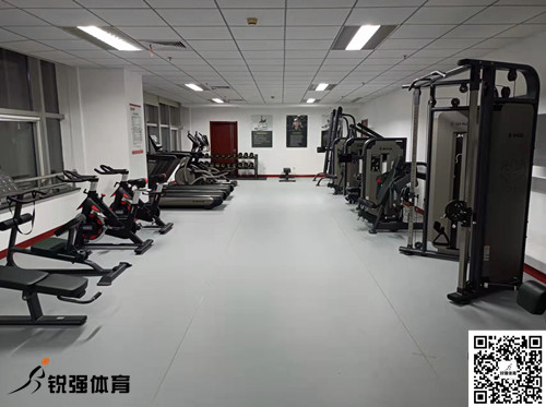 济南某集团采购的PA视讯提供的健身器材